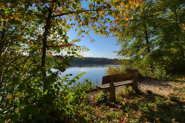 队在国际乒 队在国际乒