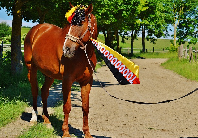 个人能力 个人能力