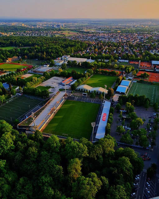 努力建立的 努力建立的