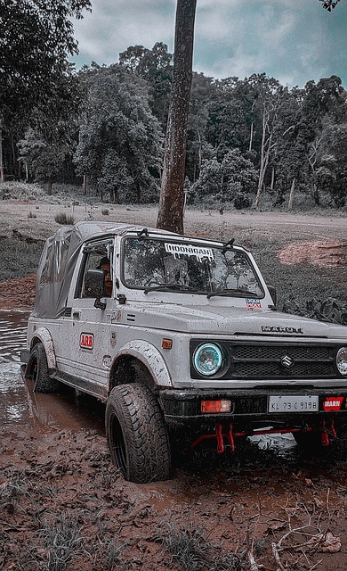 术提升上无 术提升上无