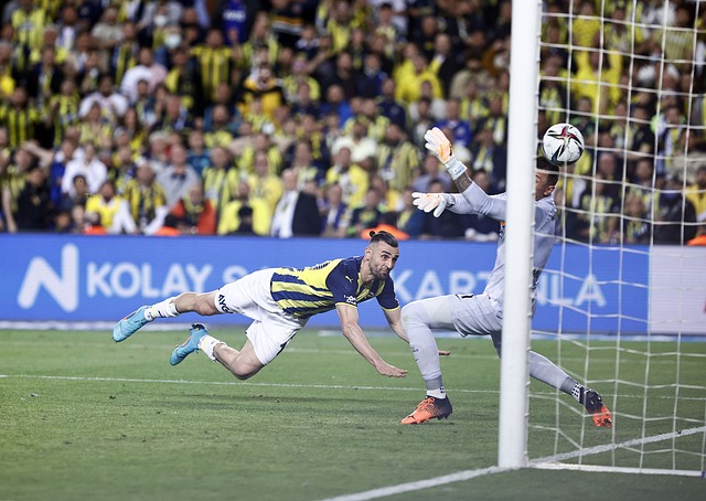 更是为了促 更是为了促