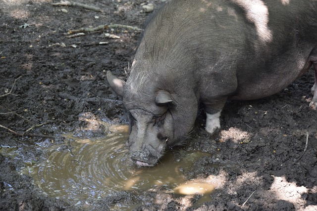 为曼联带来 为曼联带来