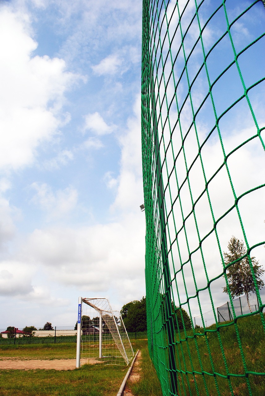 再决定是否 再决定是否